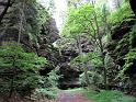 2010-06-12, Uttewalder Grund (28)